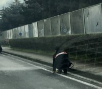 Tragedia a Campi: muore travolto da un’auto anziano di 83 anni 